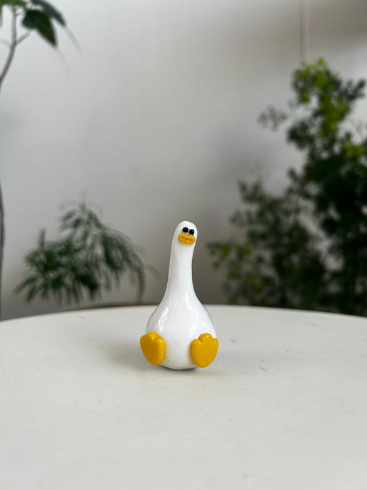 Duck 01