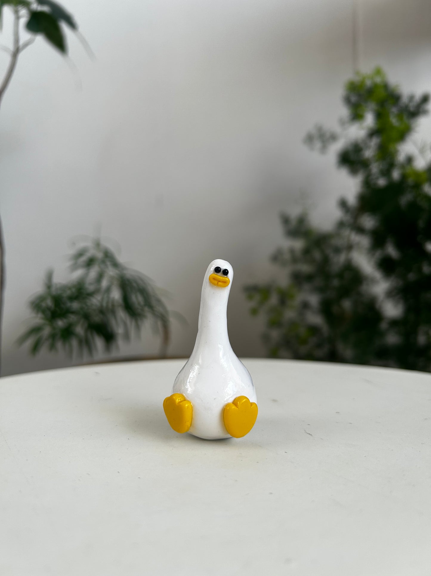 Duck 01