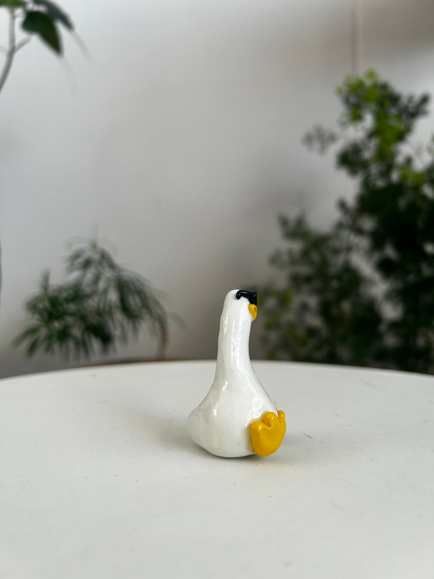 Sunnies Duck 02