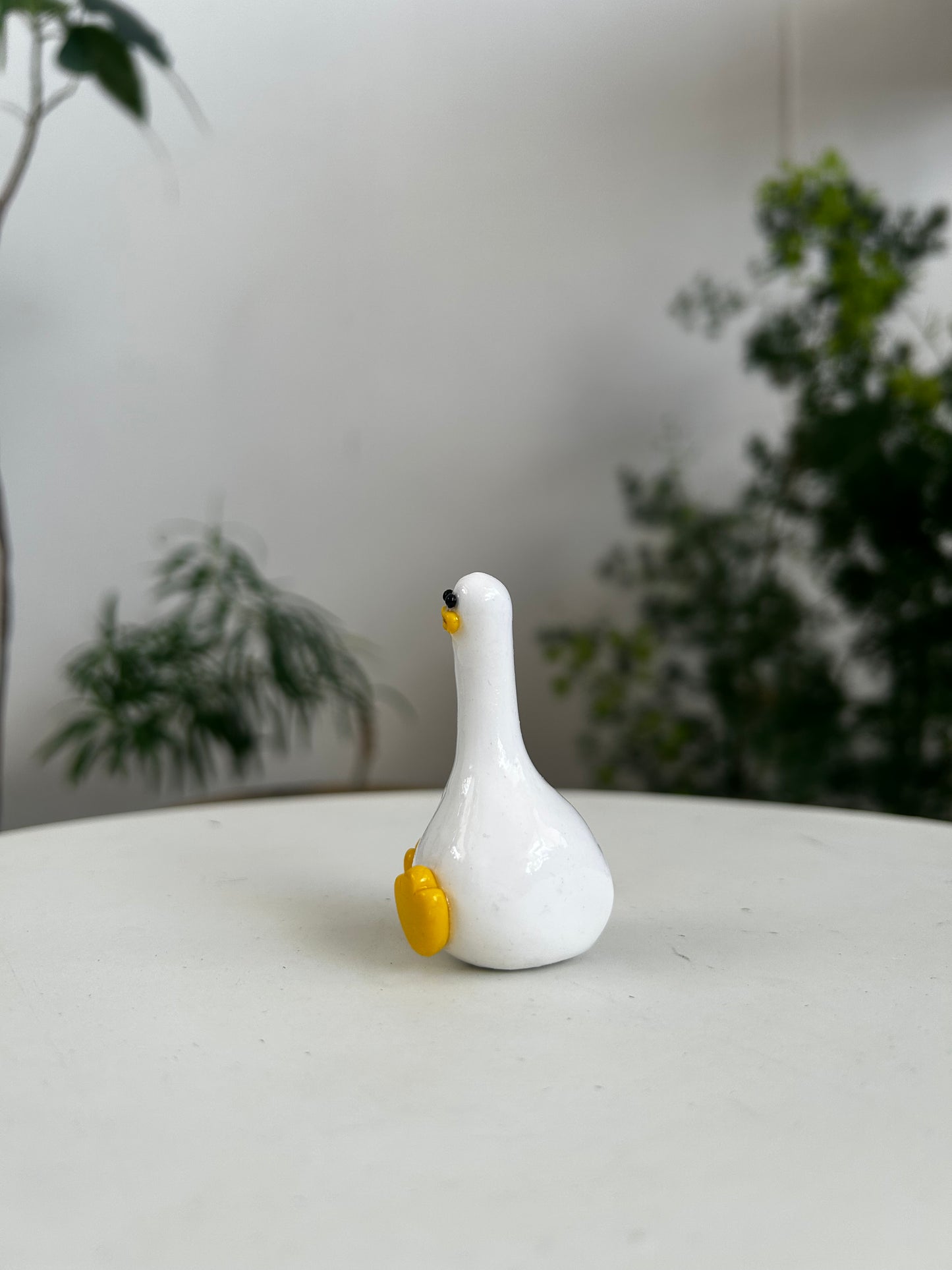Duck 01
