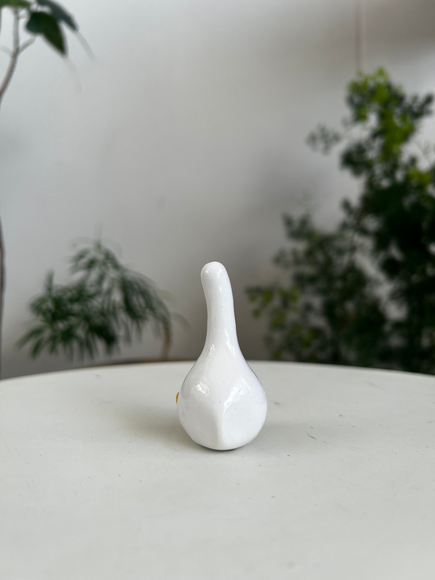 Duck 01