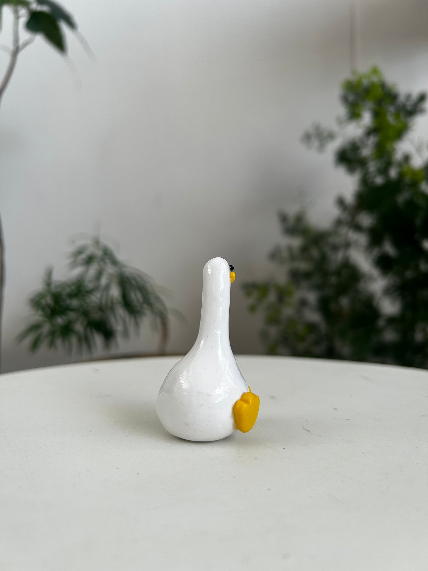 Duck 01