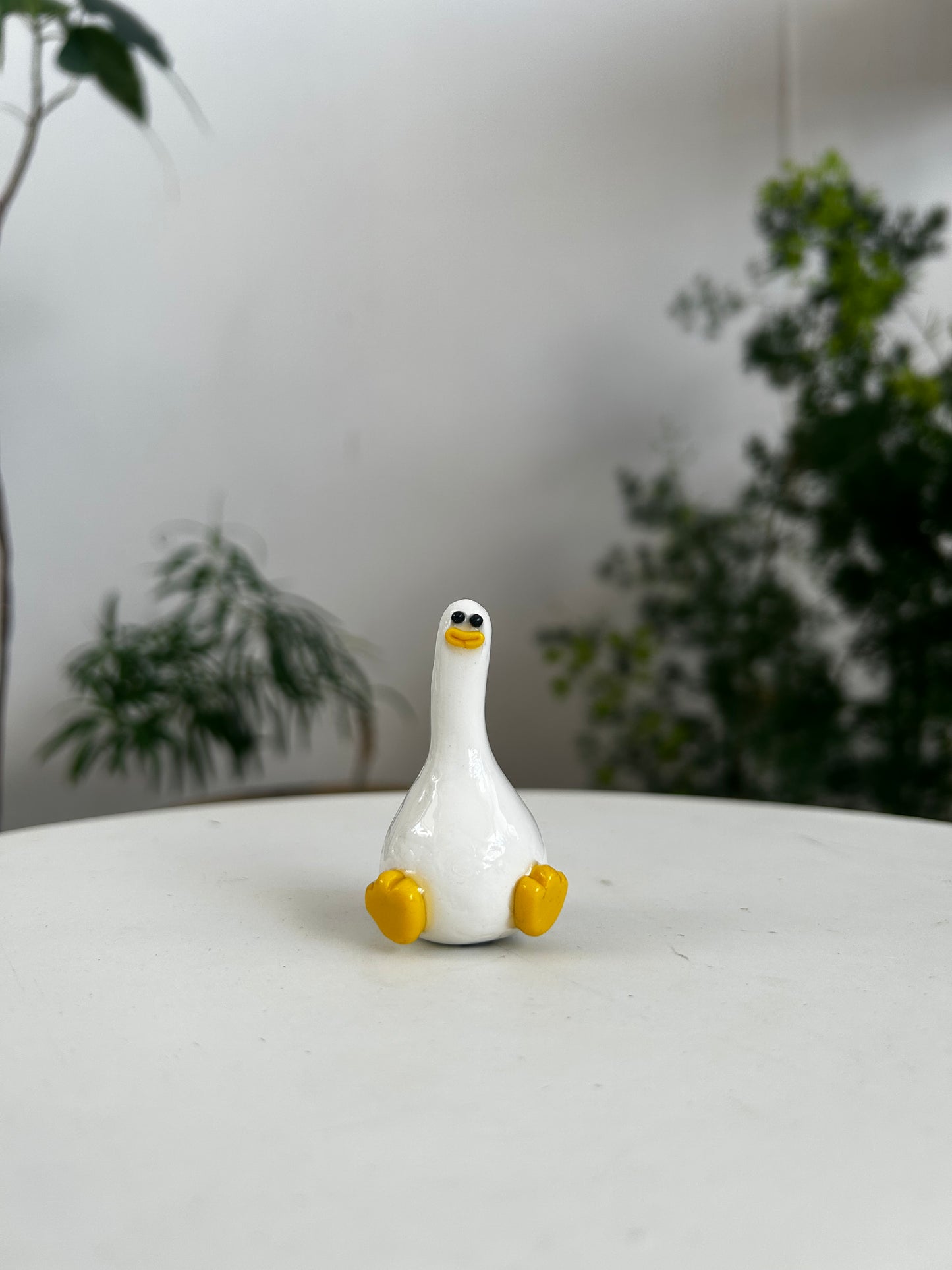 Duck 02