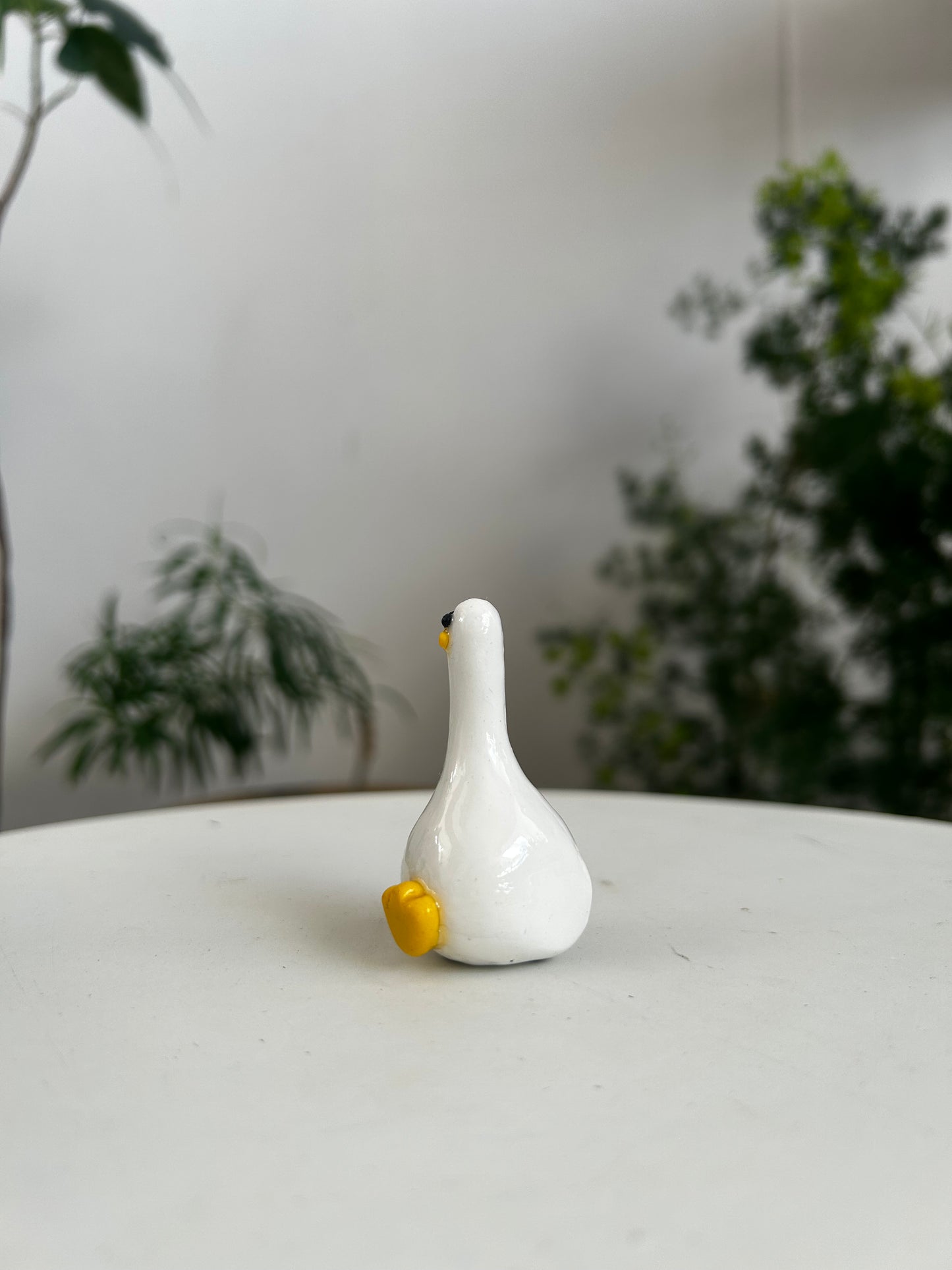 Duck 02