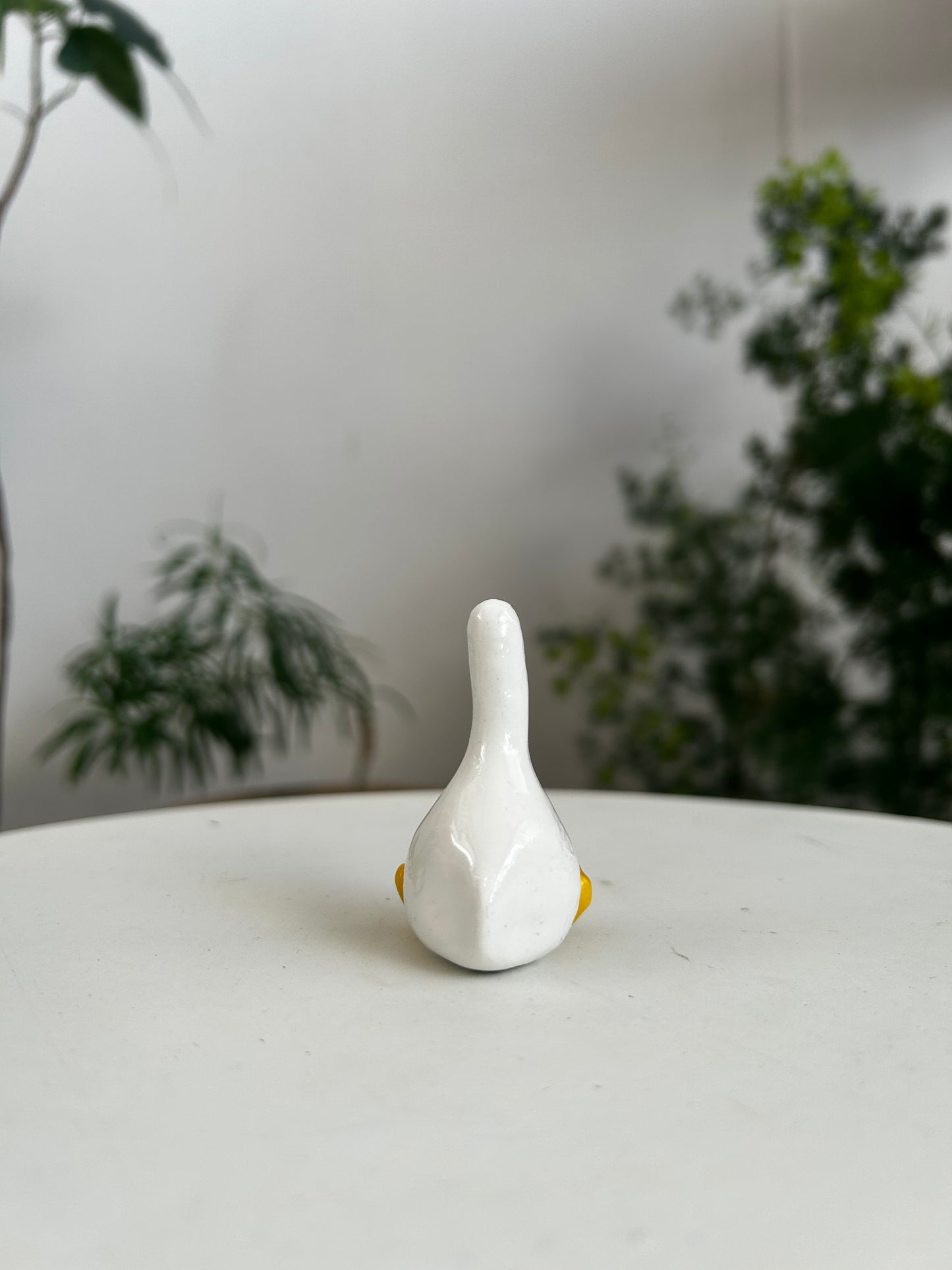 Duck 02