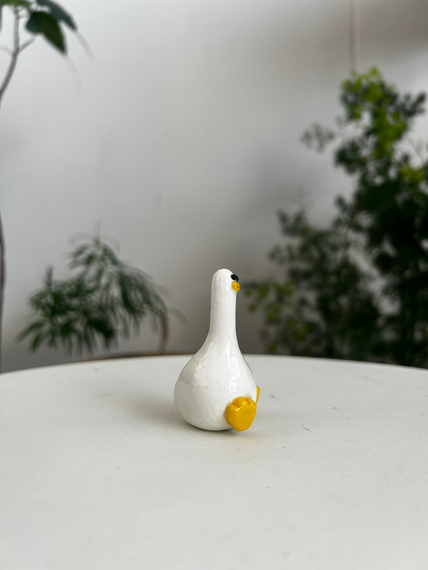 Duck 02