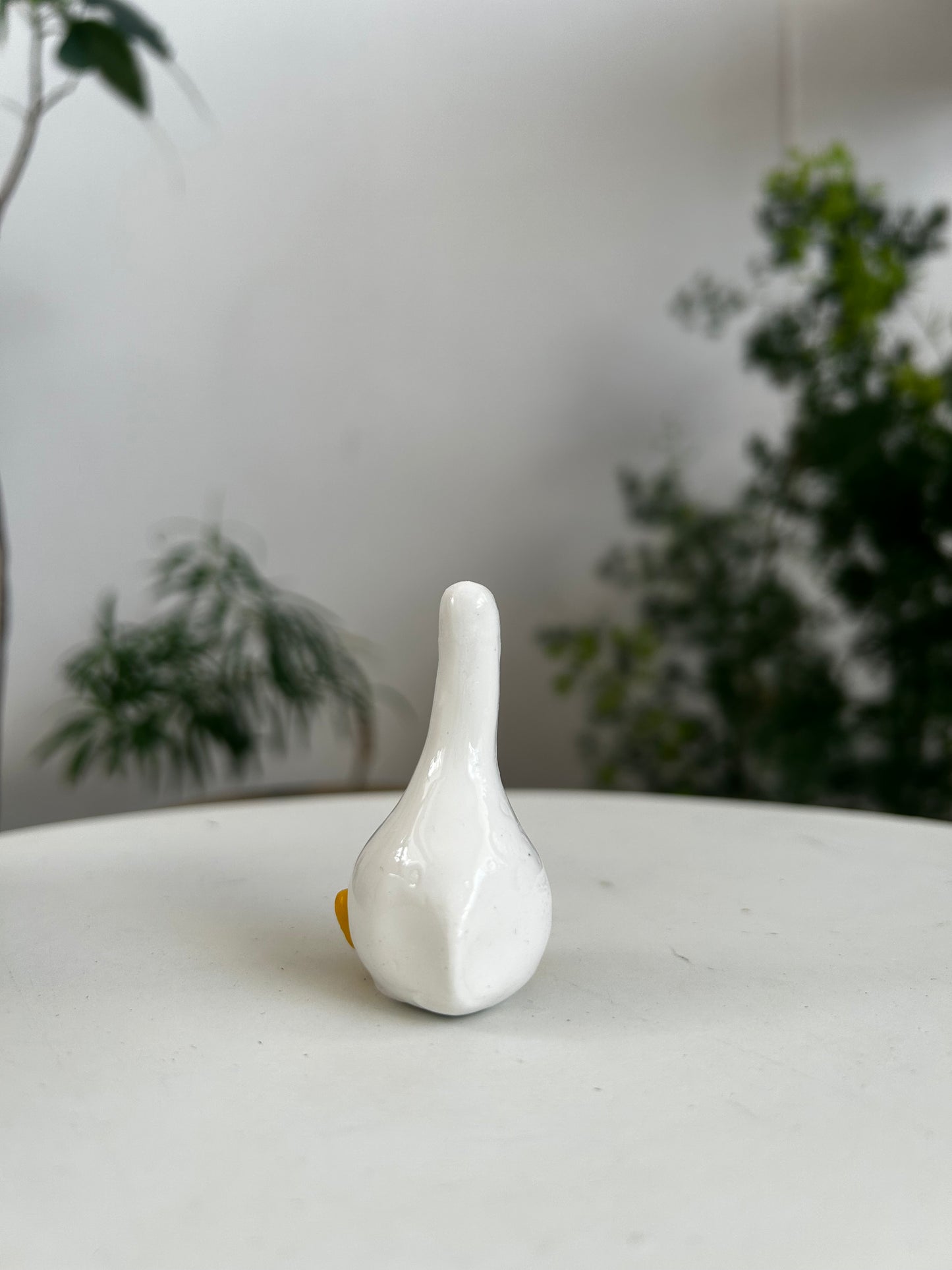 Duck 03
