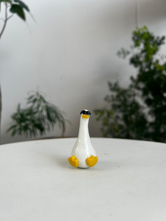 Sunnies Duck 01