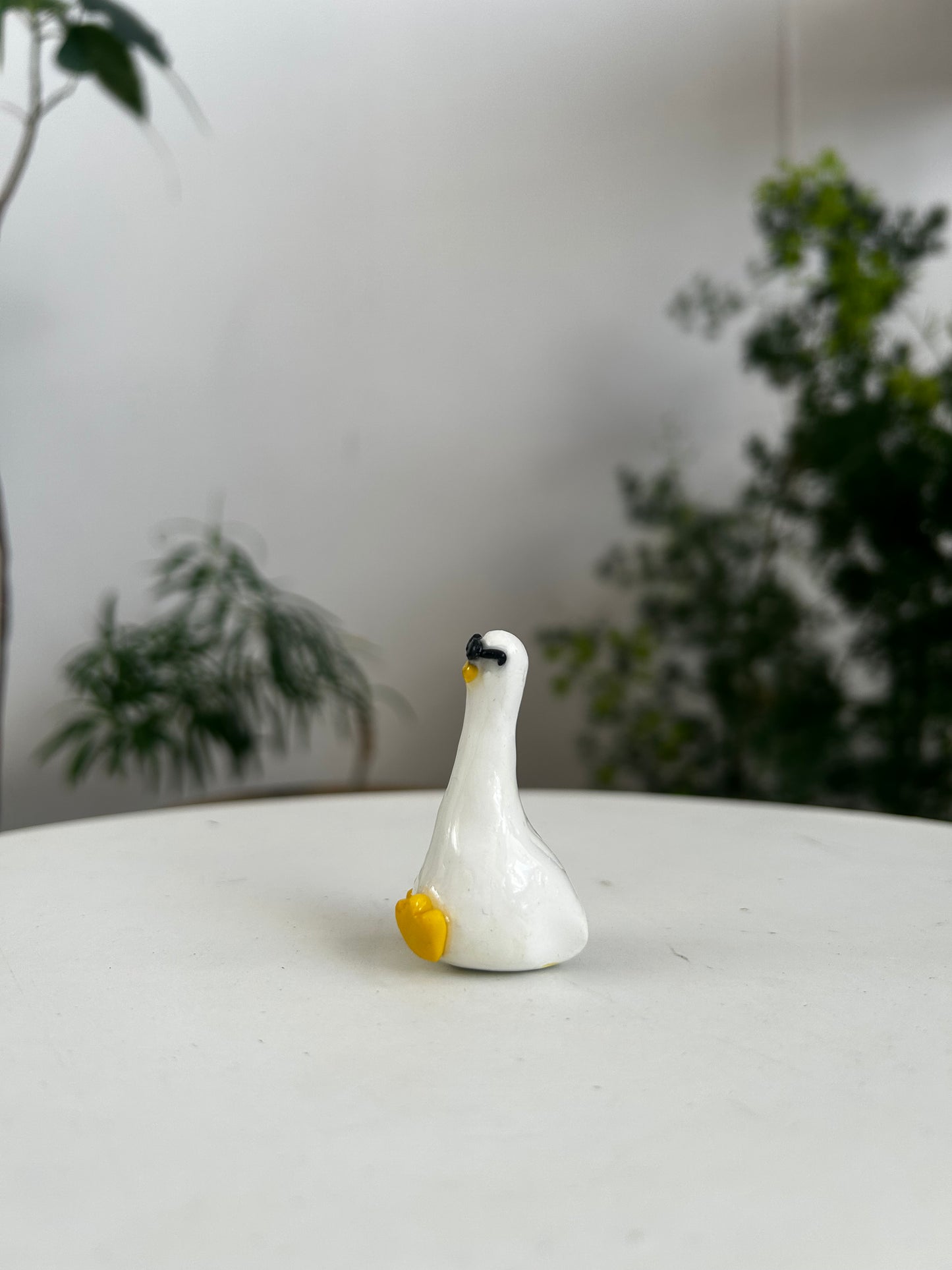 Sunnies Duck 01