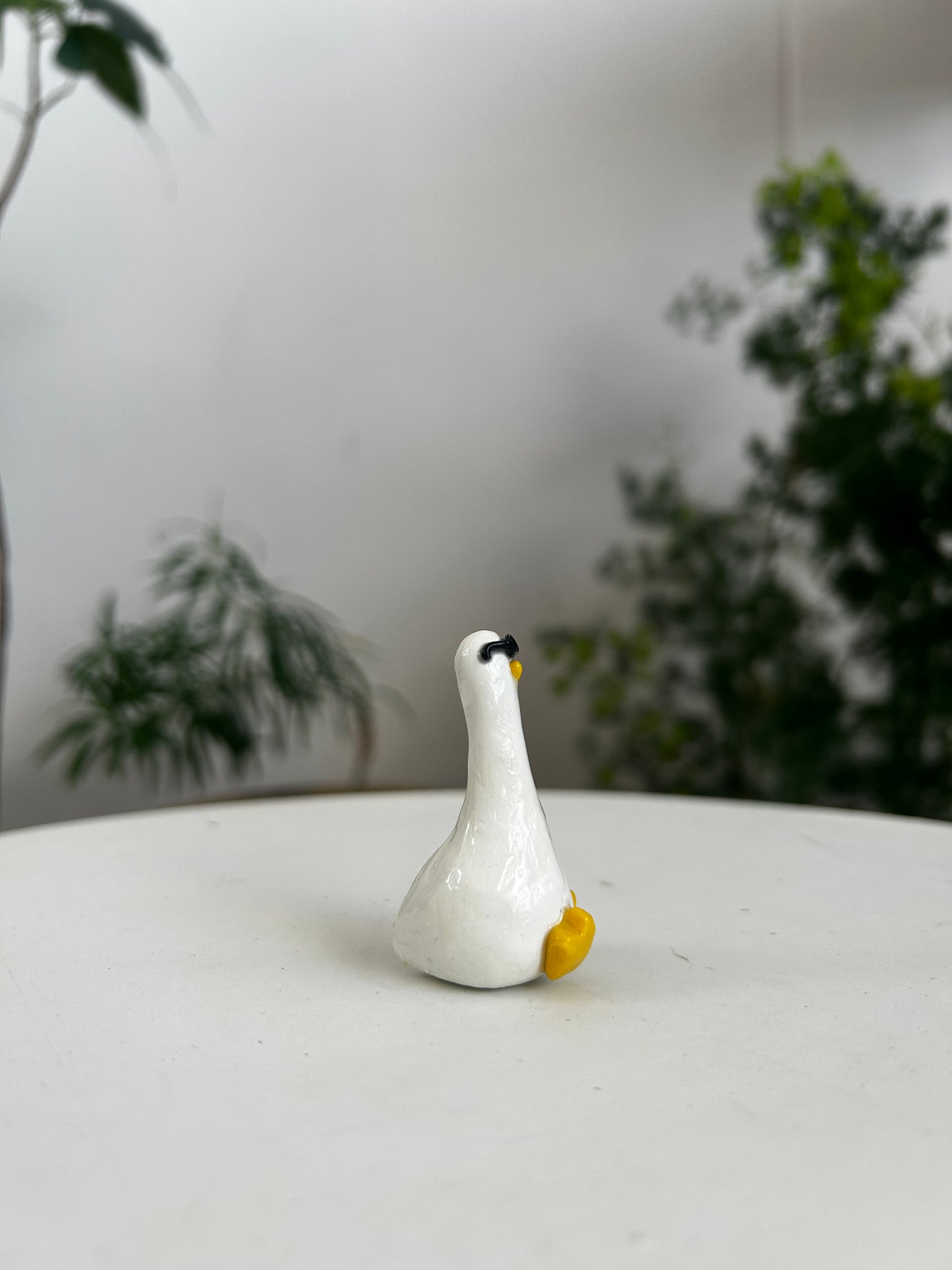 Sunnies Duck 01