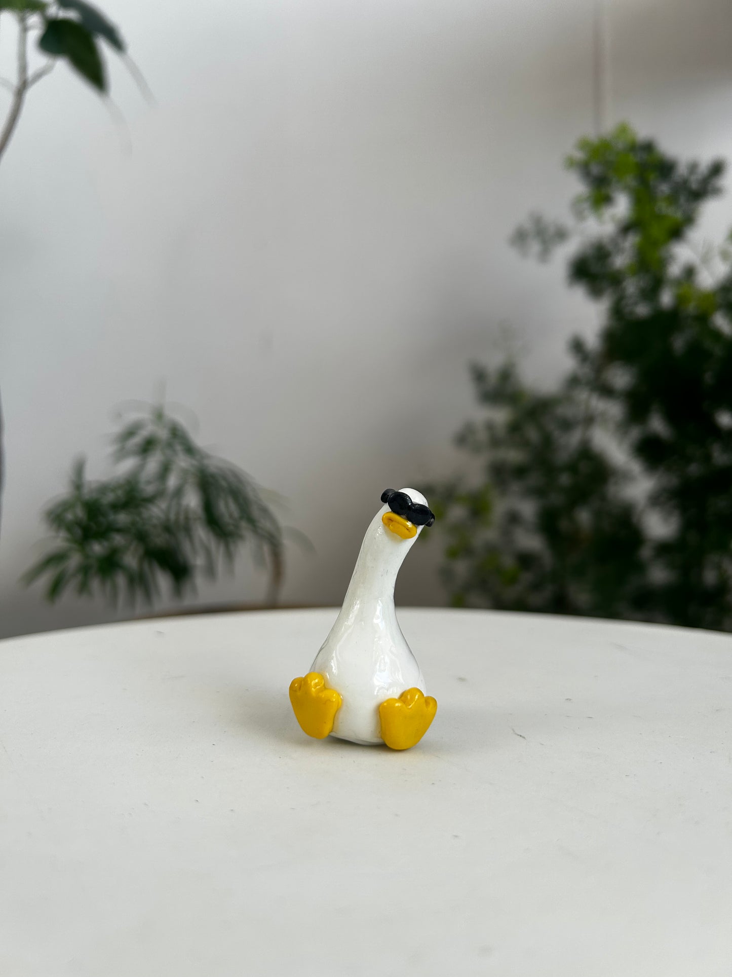 Sunnies Duck 02