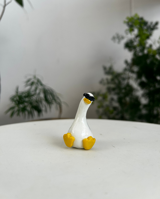 Sunnies Duck 02