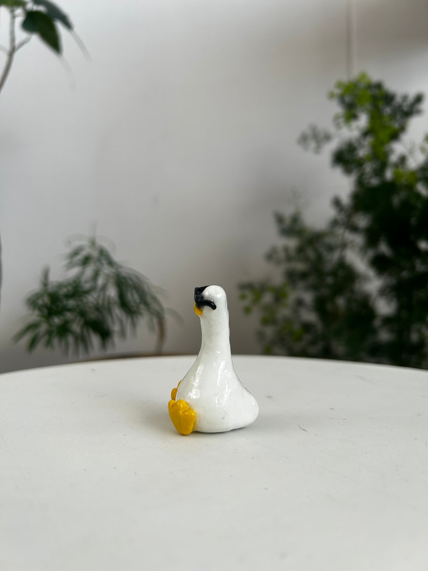Sunnies Duck 02