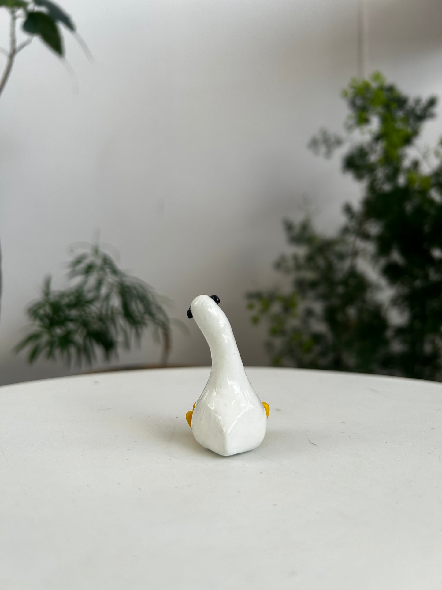 Sunnies Duck 02