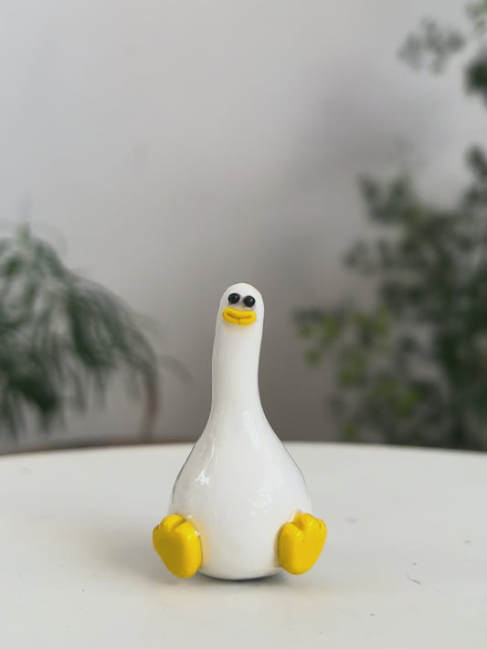 Duck 02