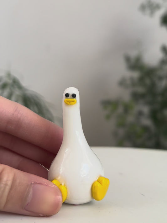 Duck 03