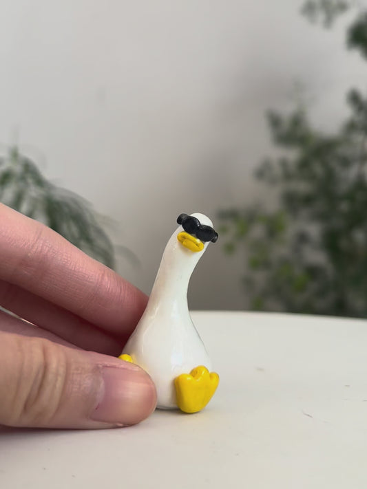 Sunnies Duck 02